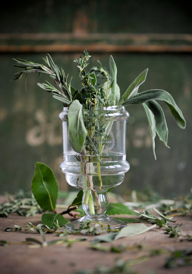 Thyme, rosemary and sage leaves in wine glass