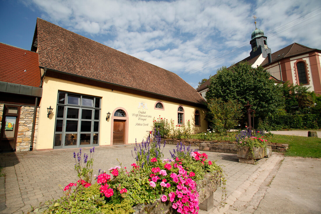 Graf Wolff Metternich Weingut Durbach