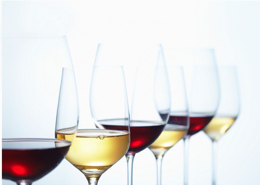 Glasses of red, white and rose wine in a row, illustration - Stock Image -  C039/6153 - Science Photo Library