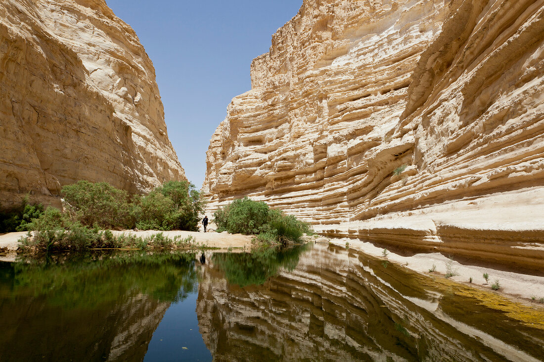 View of Ein Avdat and still water at En Avdat National Park, Negev, Israel