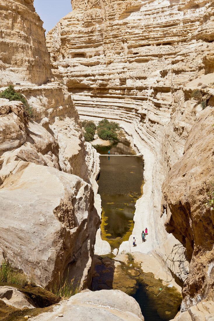 Israel, Wüste Negev, Awdat-Quelle, En-Awdat-Nationalpark