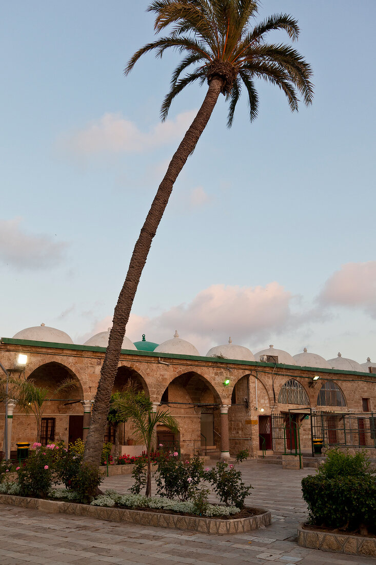 View of Al Jazzar Mosque courtyard and palm tree, Galilee, Acre, Israel