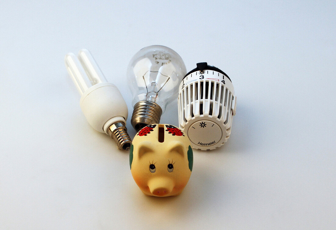 Energy saving bulbs, heating controller and piggy bank on white background
