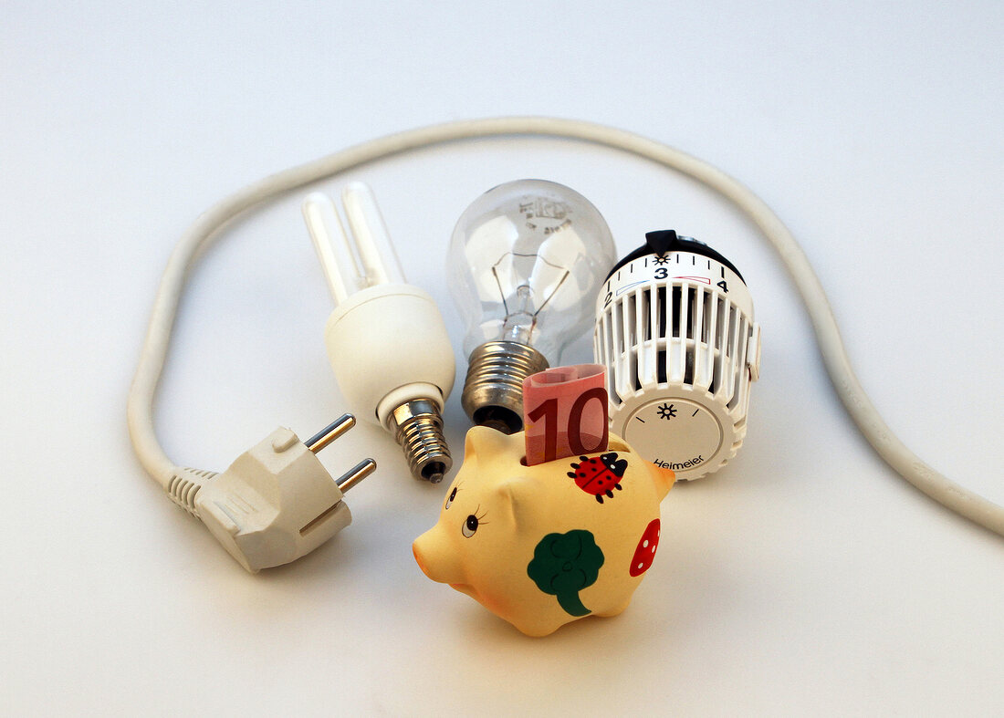 Light bulb, energy saving lamp, piggy bank, power cable and money