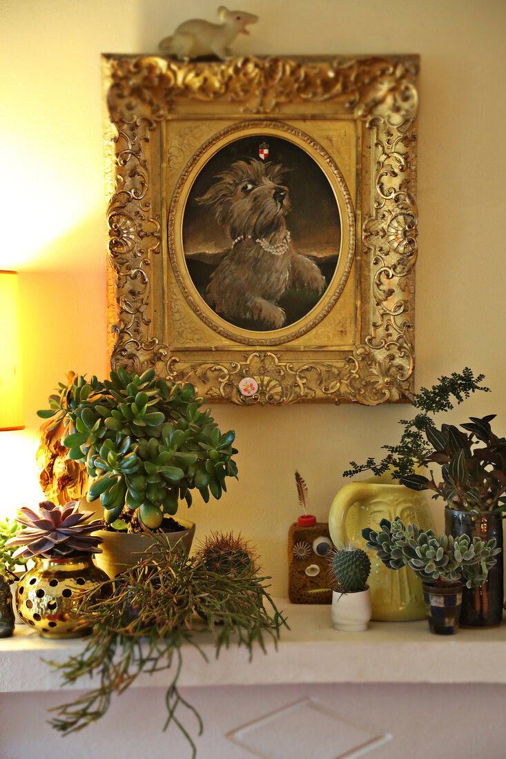 Cacti in pot with portrait of dog in wooden frame on wall