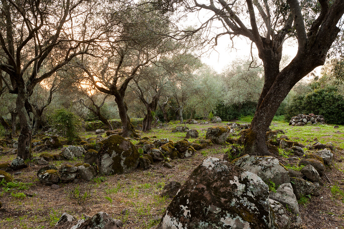 Stone fence of Santa Cristina sacred well in Paulilatino, Oristano, Sardinia, Italy