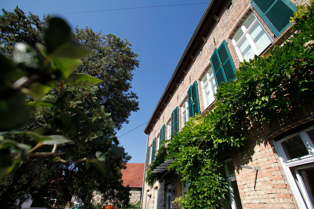 Hirschhof Weingut Westhofen