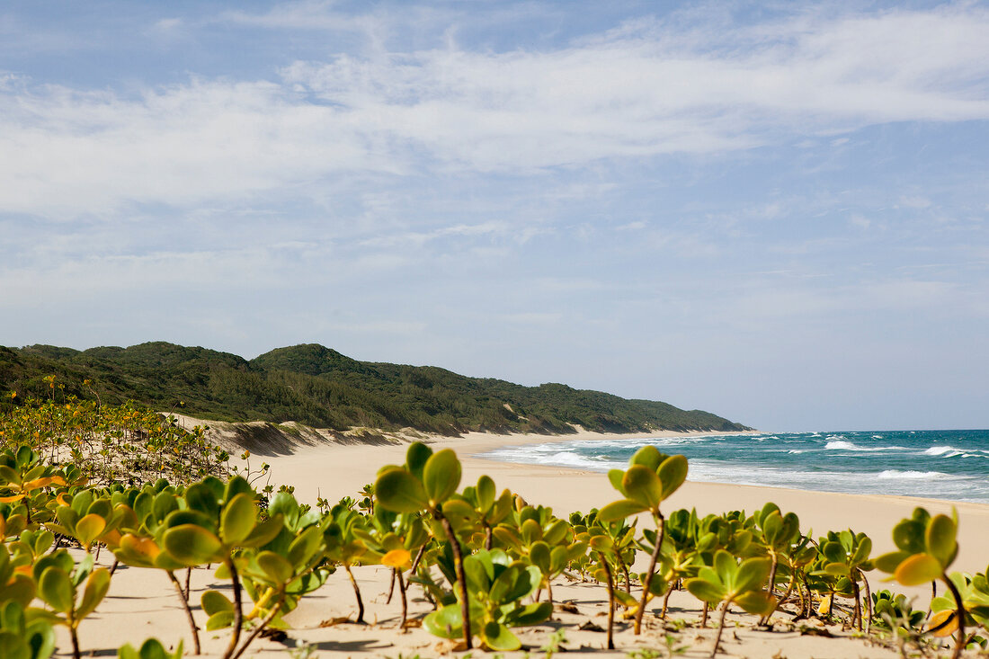 View of Maputaland Marine Reserve on beach at South Africa