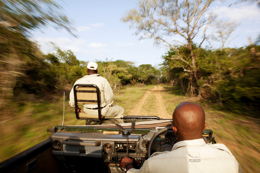 Rear view of man driving jeep on dirt track in forest, South Africa