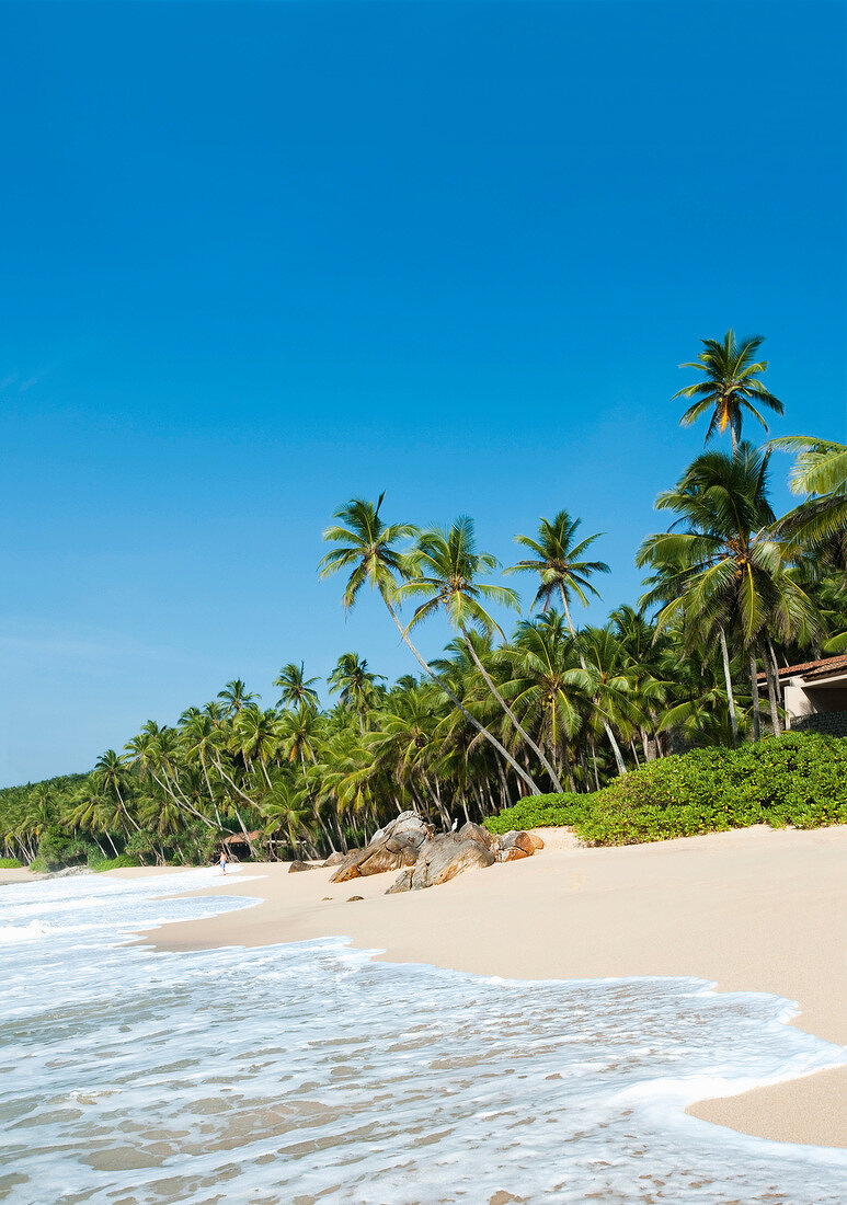 Sri Lanka, Südküste, Tangalle, Strand, Palmen, Titel