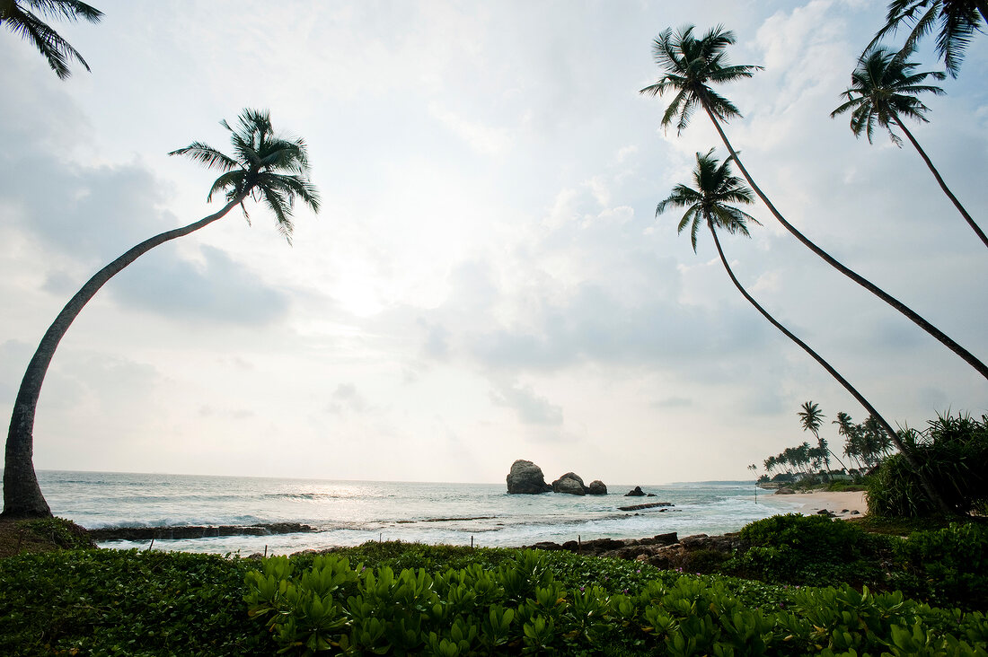 View of South Coast and Koggala beach with palm trees at Sri Lanka