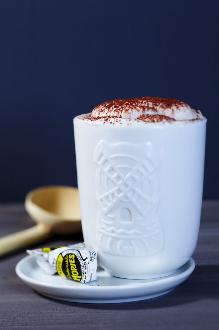 Close-up of Holland scene, windmill, milk foam and cocoa in cup