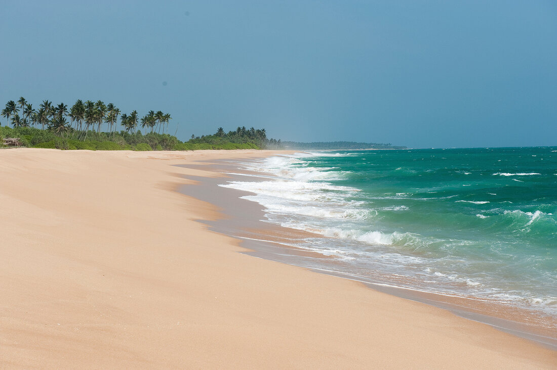 Sri Lanka, Südküste, Tangalle, Strand, Palmen, Urlaubsparadies