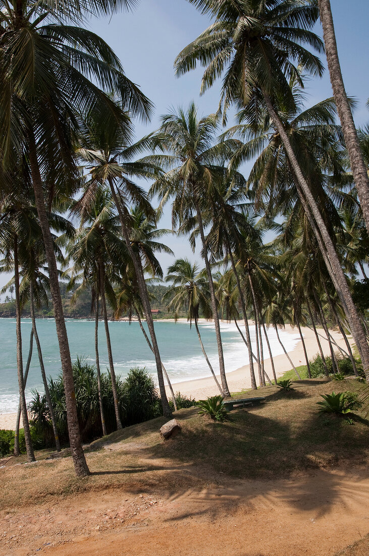 View of Tangalle beach and palm trees from Jetwing Hotel, Sri Lanka