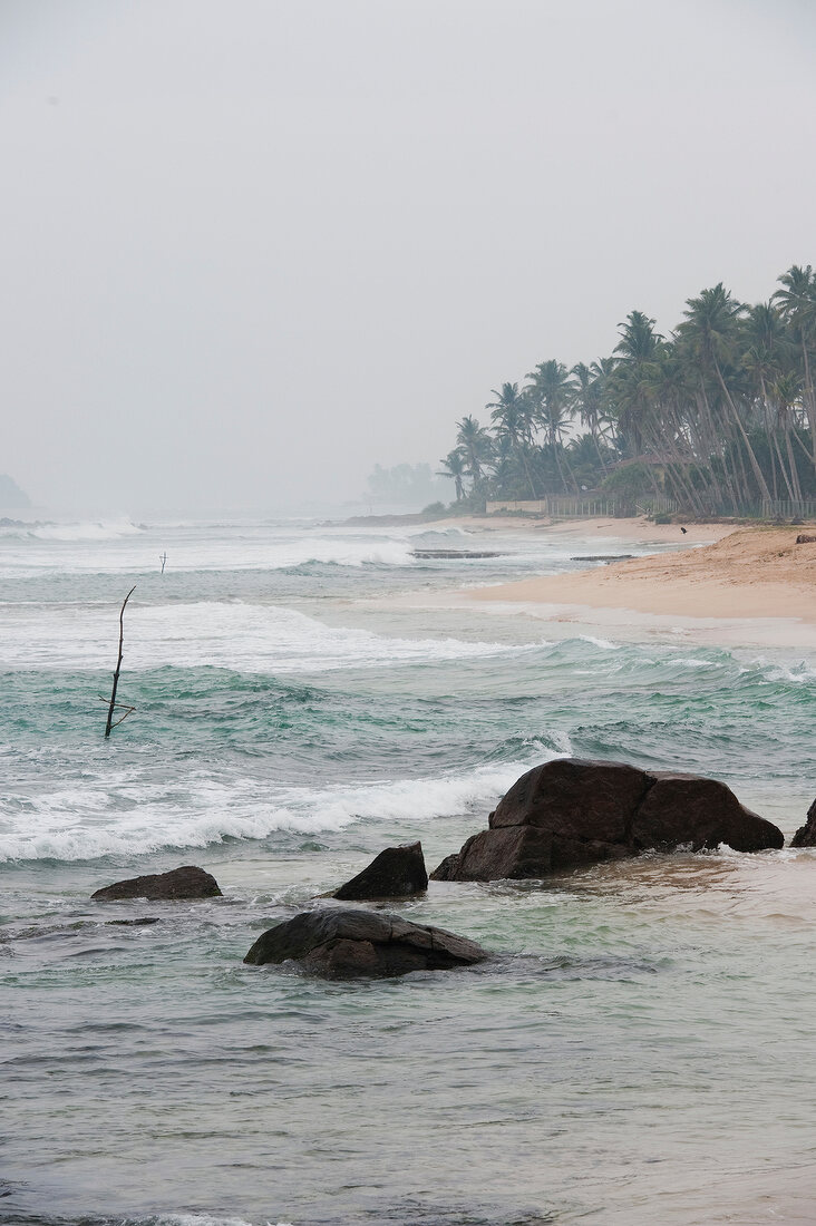View of beach and palm trees in Weligama, South Coast, Sri Lanka