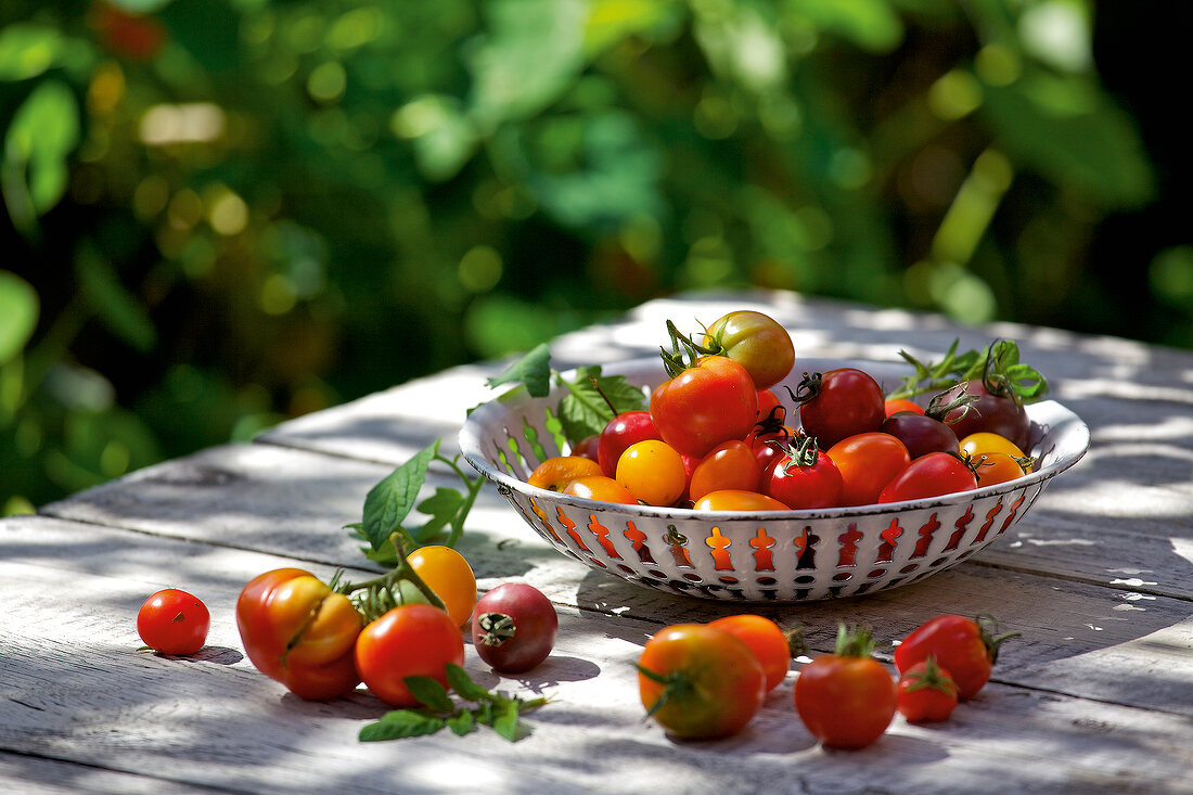 Basket with tomatoes and some scattered on wooden table