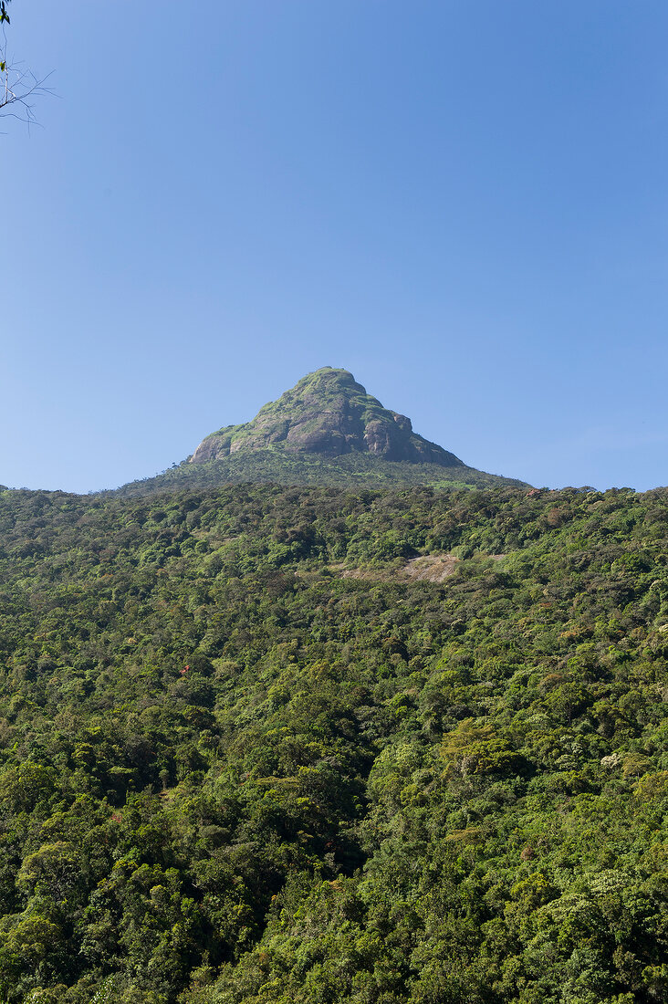 Sri Lanka, Berg Sri Pada, Natur, grün, Blick auf Bergipfel