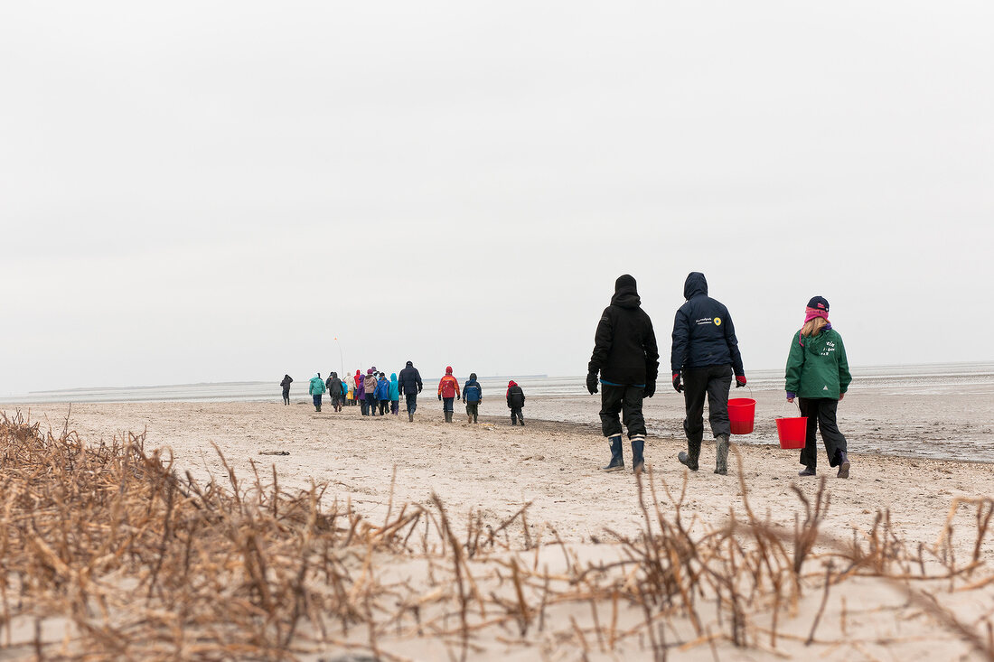 Group of children with caregivers on beach in Wadden, Germany