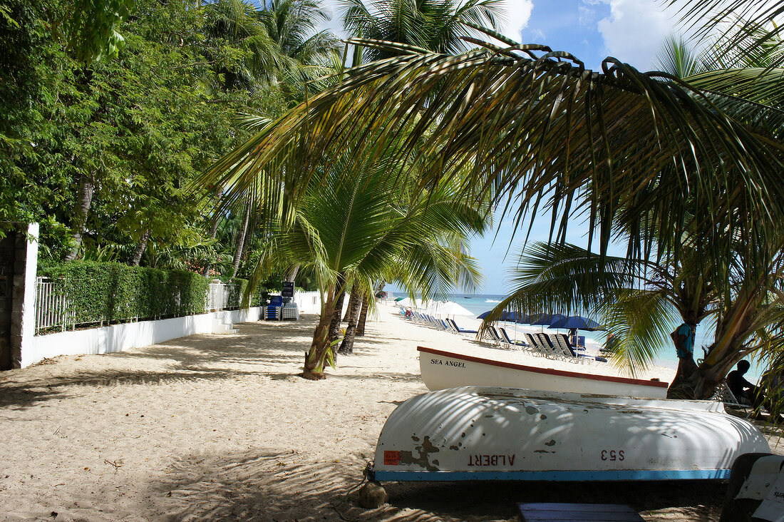 Boat on beach of Lesser Antilles at Caribbean island, Barbados