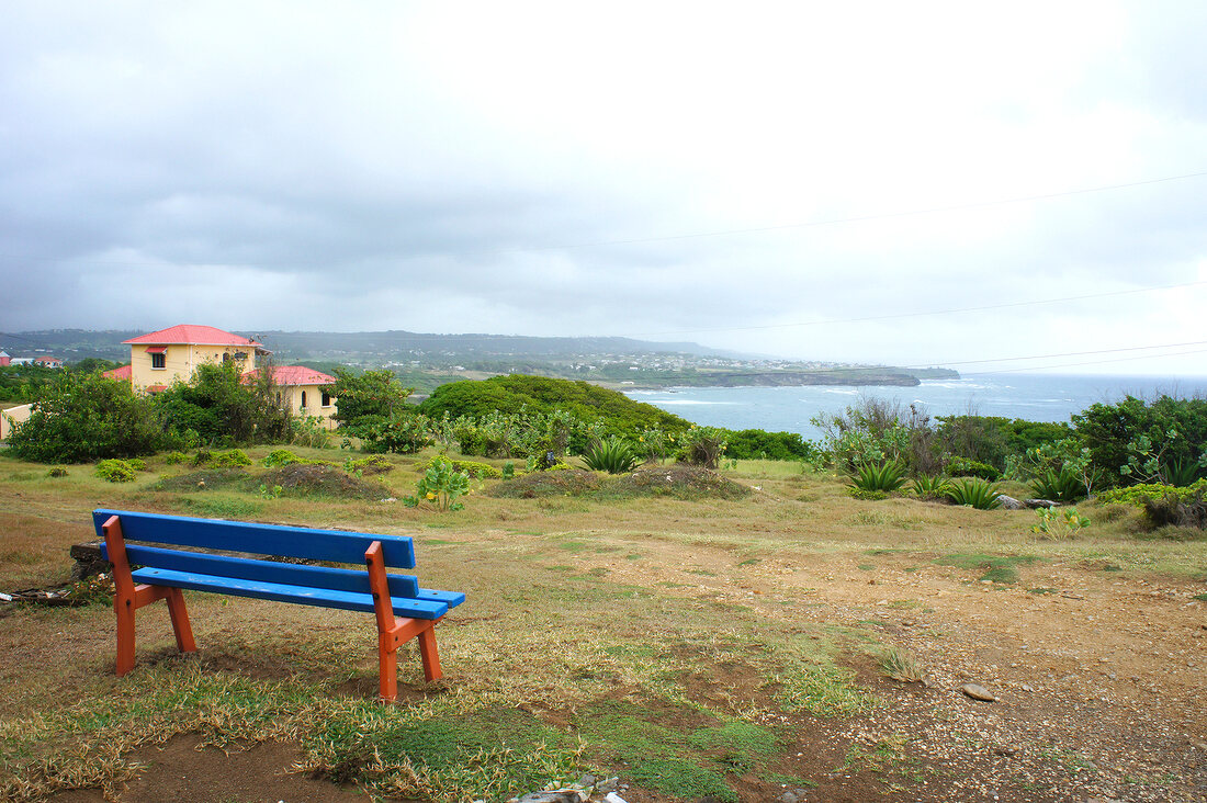 Empty blue bench on Lesser Antilles at Caribbean island, Barbados