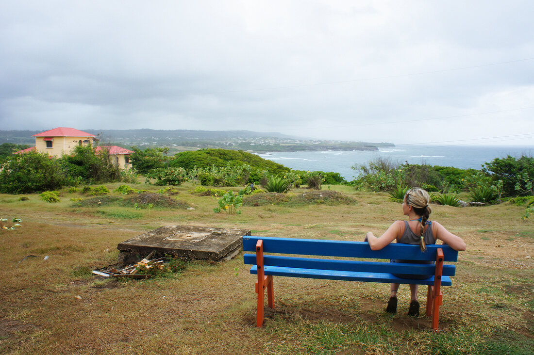 Empty blue bench on Lesser Antilles at Caribbean island, Barbados