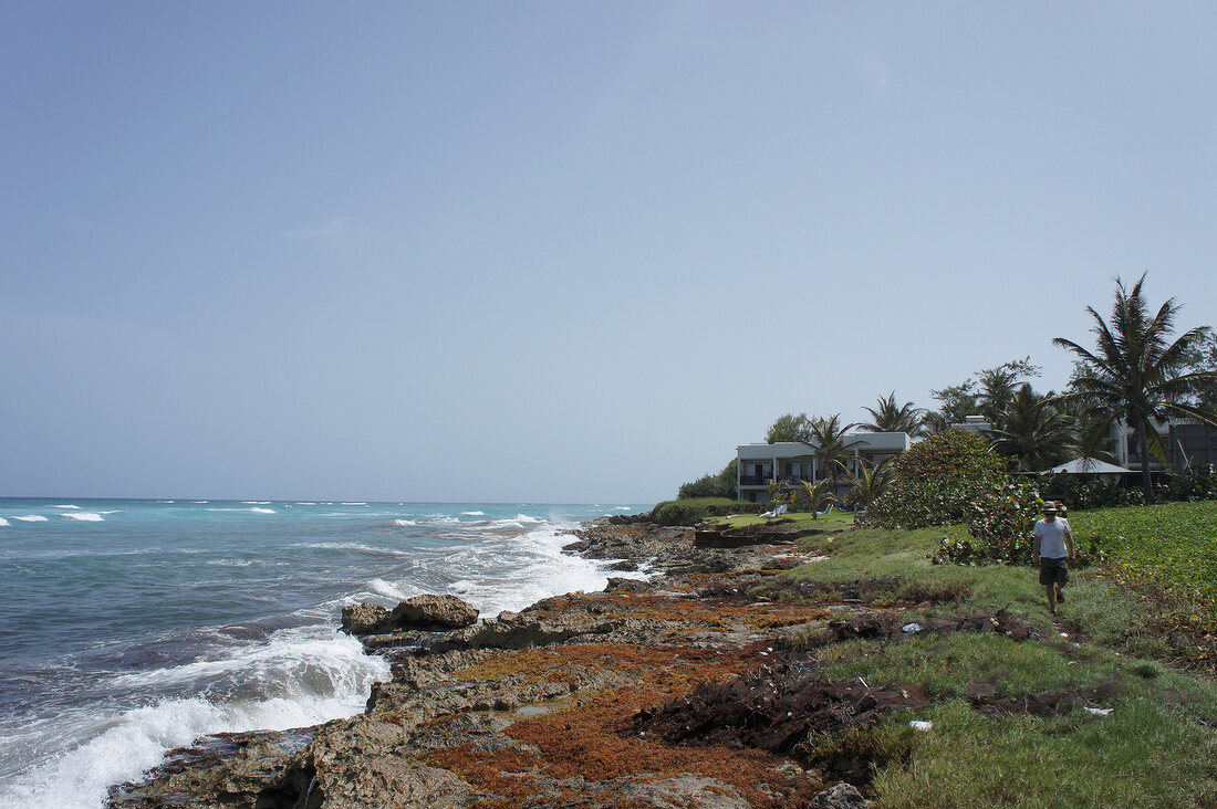 Barbados, Insel der Kleinen Antillen, Karibik, Karibikinsel