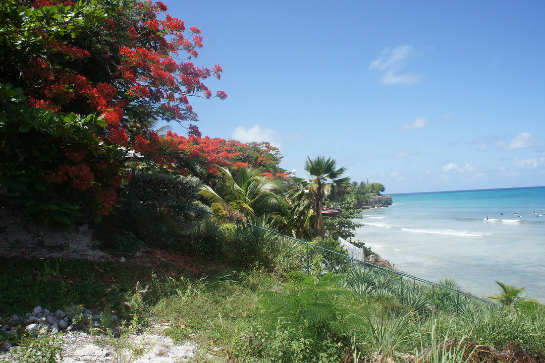 Barbados, Insel der Kleinen Antillen, Karibik, Karibikinsel