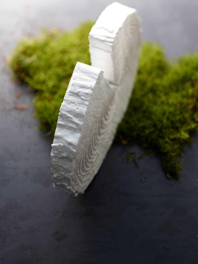 Slice of white cheese with green moss