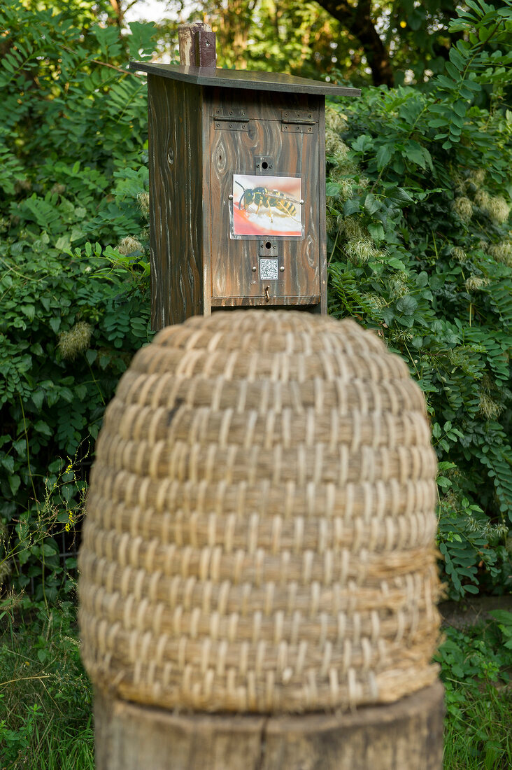 Wooden crates in intercultural garden, Berlin, Germany 