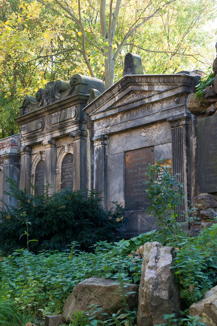 View of trees in Jewish cemetery at Weissensee, Berlin, Germany