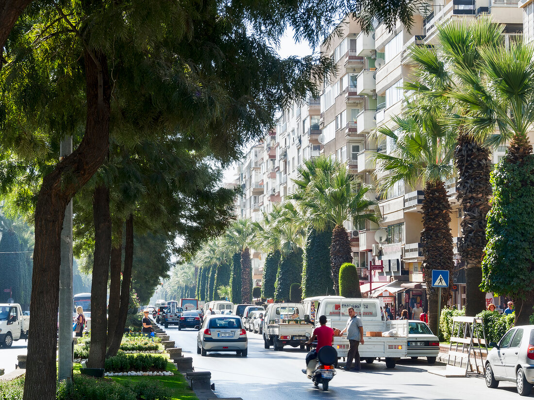 Busy street with palm tree on both side of road in Aydin, Turkey