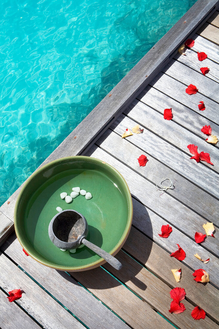 Close-up of bowl with water and flower petal around at Dhigufinolhu island, Maldives