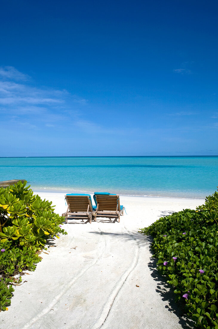 Two lounge chair on beach in island Dhigufinolhu resort, Maldives