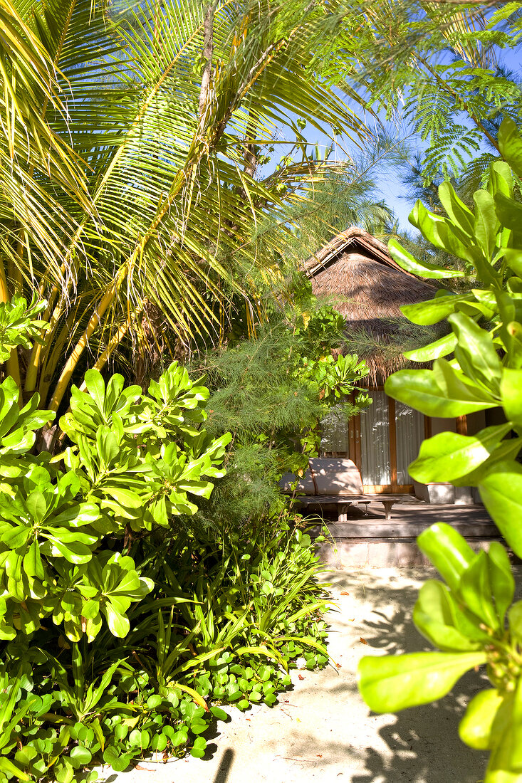 Dhigu resort bungalow in Dhigufinolhu island, Maldives