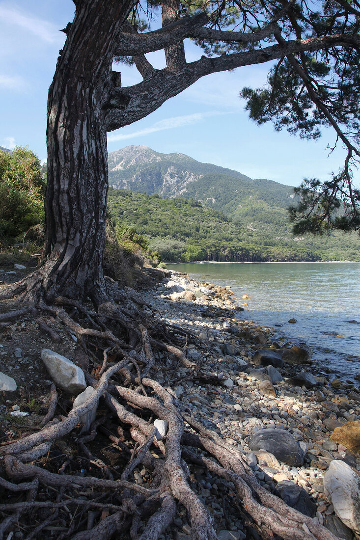 Türkei, Türkische Ägäis, Halbinsel Dilek, Nationalpark, Mittelmeer