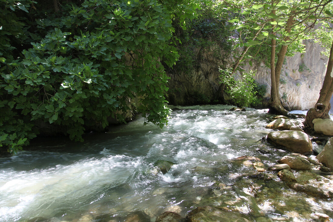 Water flowing in National park, Saklikent, Turkey
