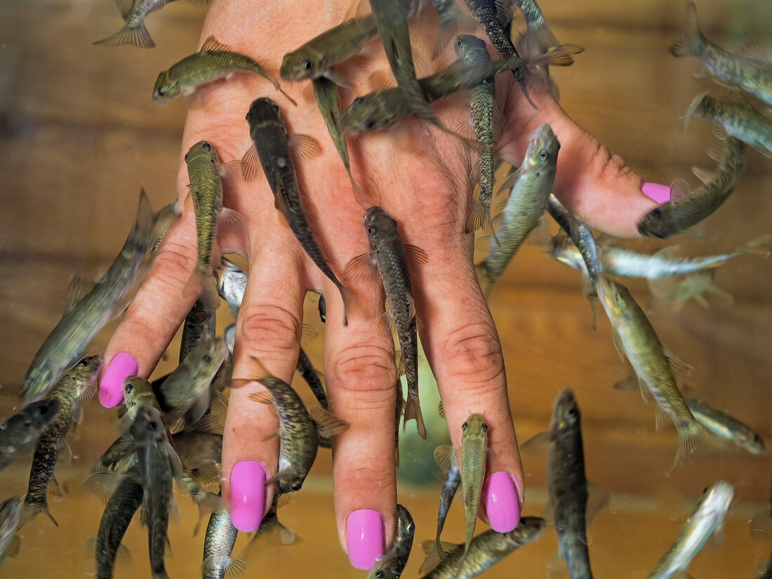 Close-up of woman's hand with doctor fish around in Hierapolis, Turkey