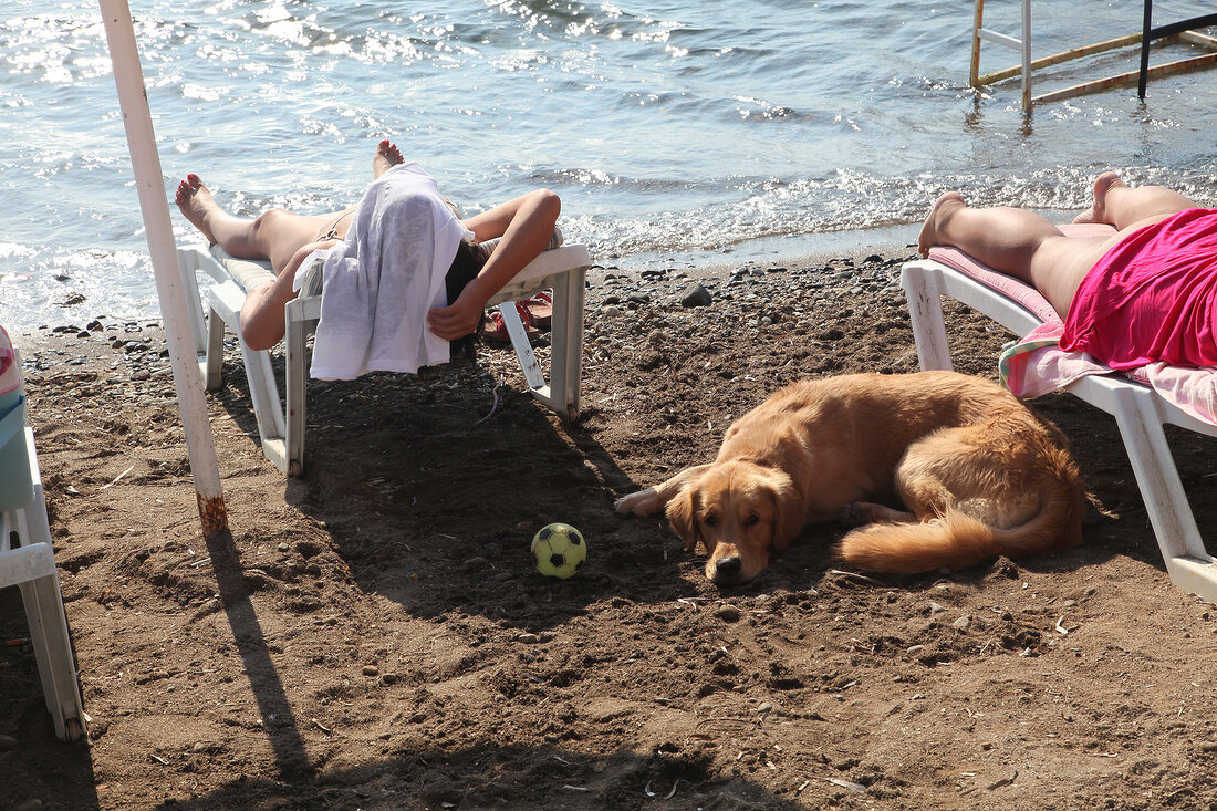 People relaxing on beach in Bodrum, Aegean Region, Turkey