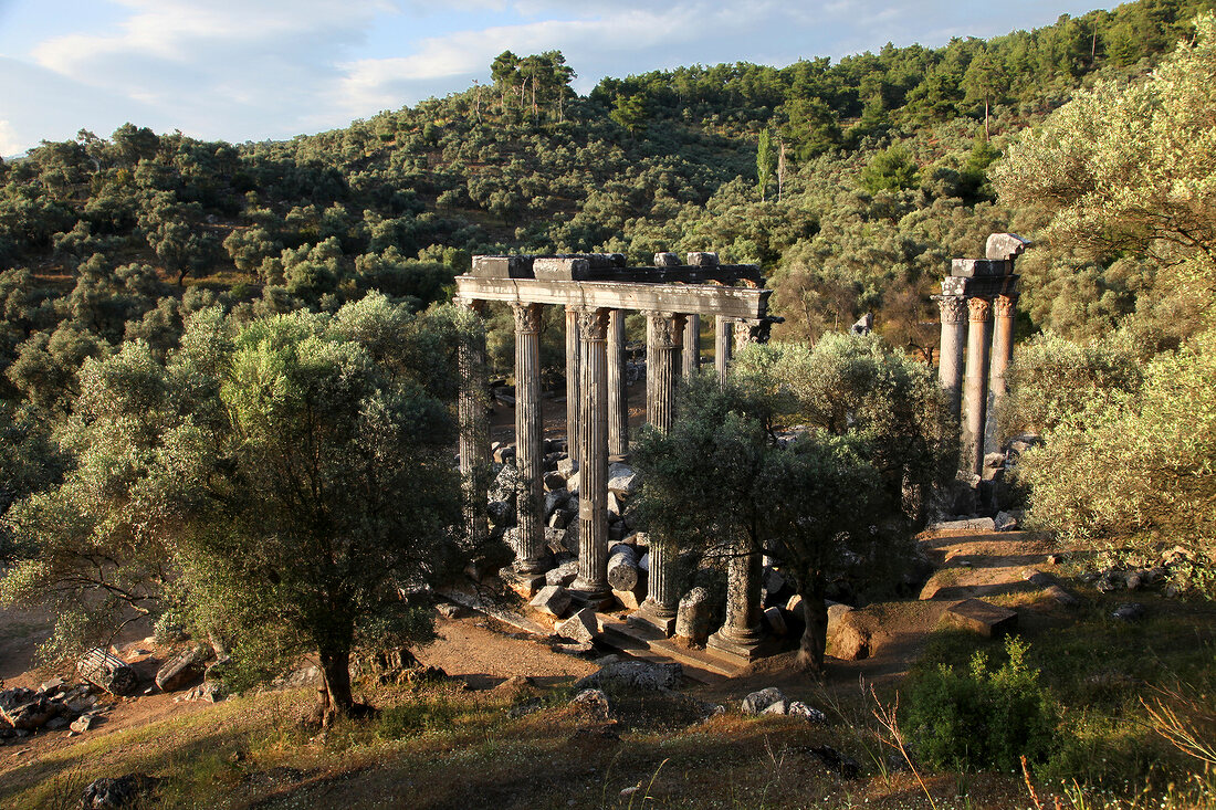 View of temple of Zeus in Euromos, Aegean, Turkey