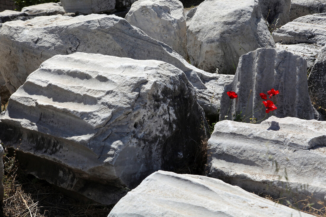 Türkei, Türkische Ägäis, Antike, Bergama, Ruine, Detail