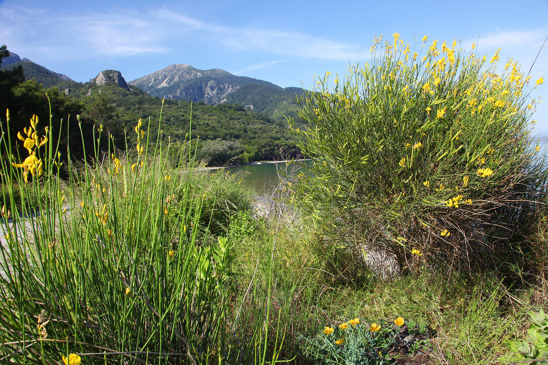 View of landscape in Dilek Peninsula National Park, Turkey