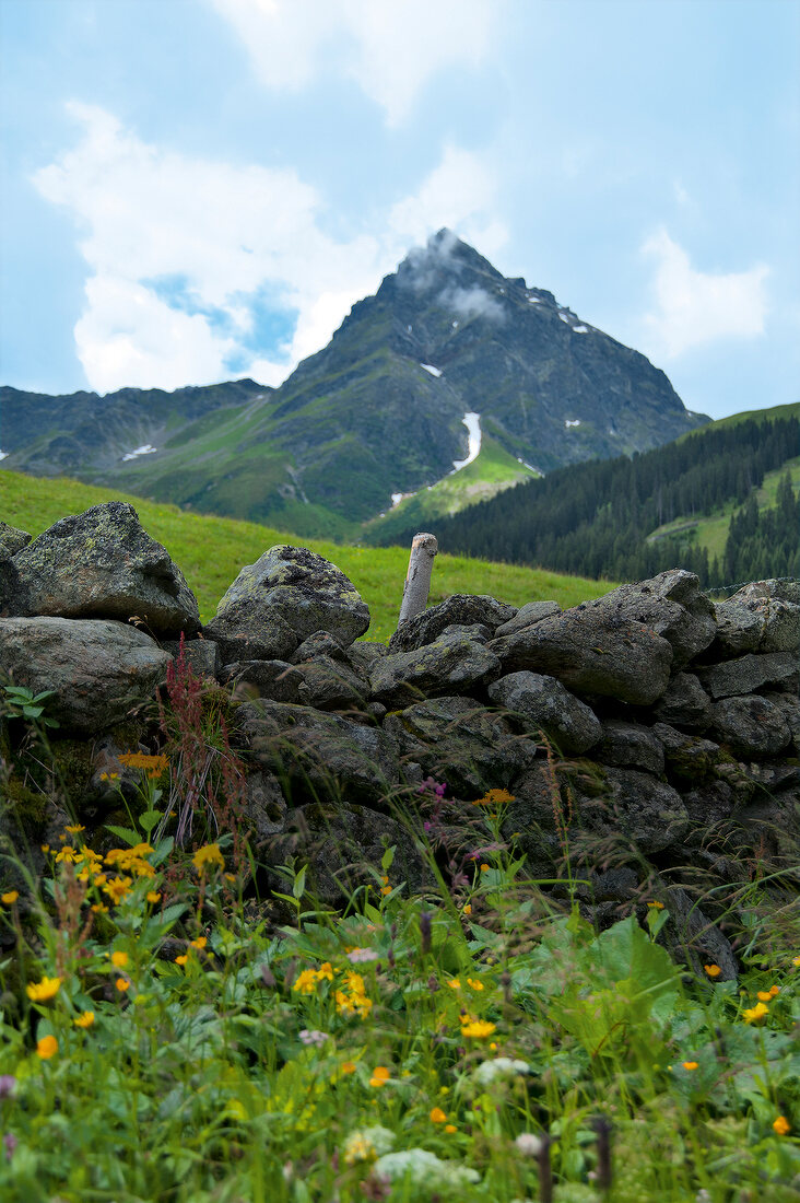 View of Montafon, Madrisa, Gargellener valley, Austria, low angle view