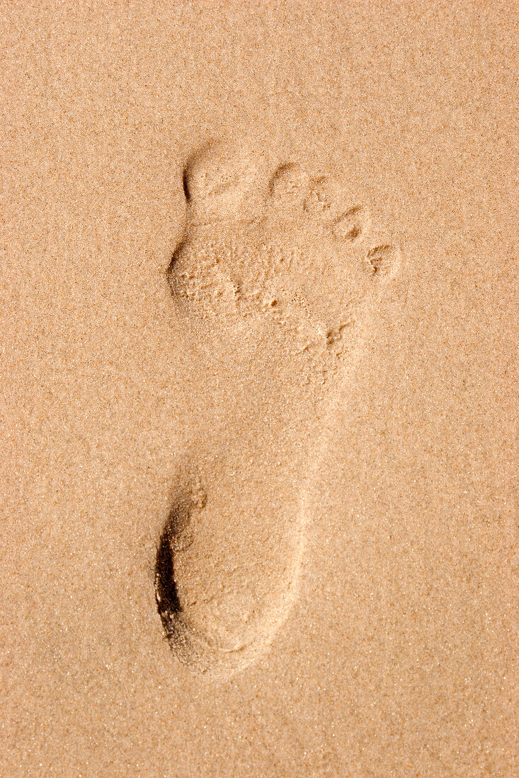 Close-up of footprint of human on Fano beach, Denmark 