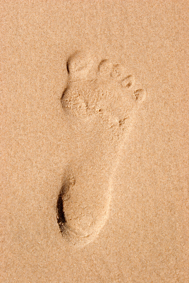 Dänemark, Fanö, Strand, Meer, Fussab druck