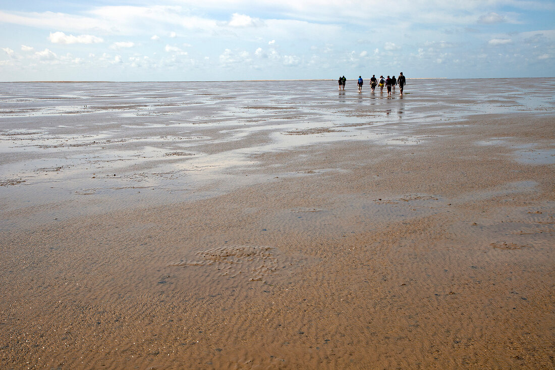 People walking on sand at Fano beach, Denmark