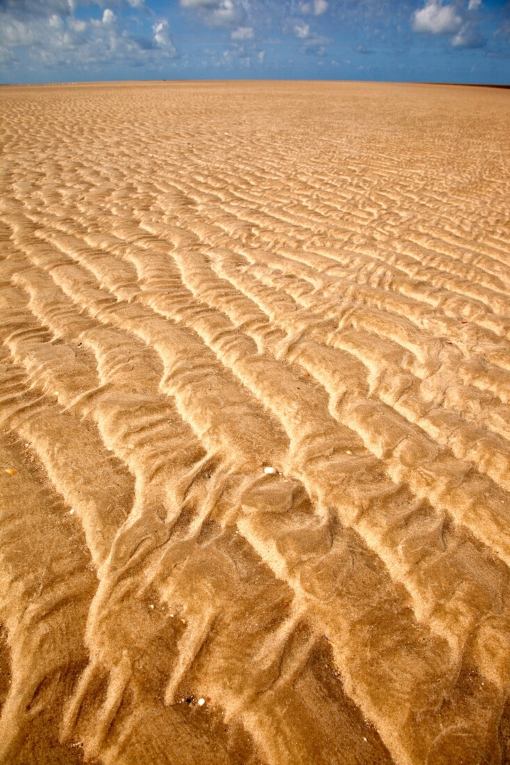 Ripples on sand at Fano beach, Denmark