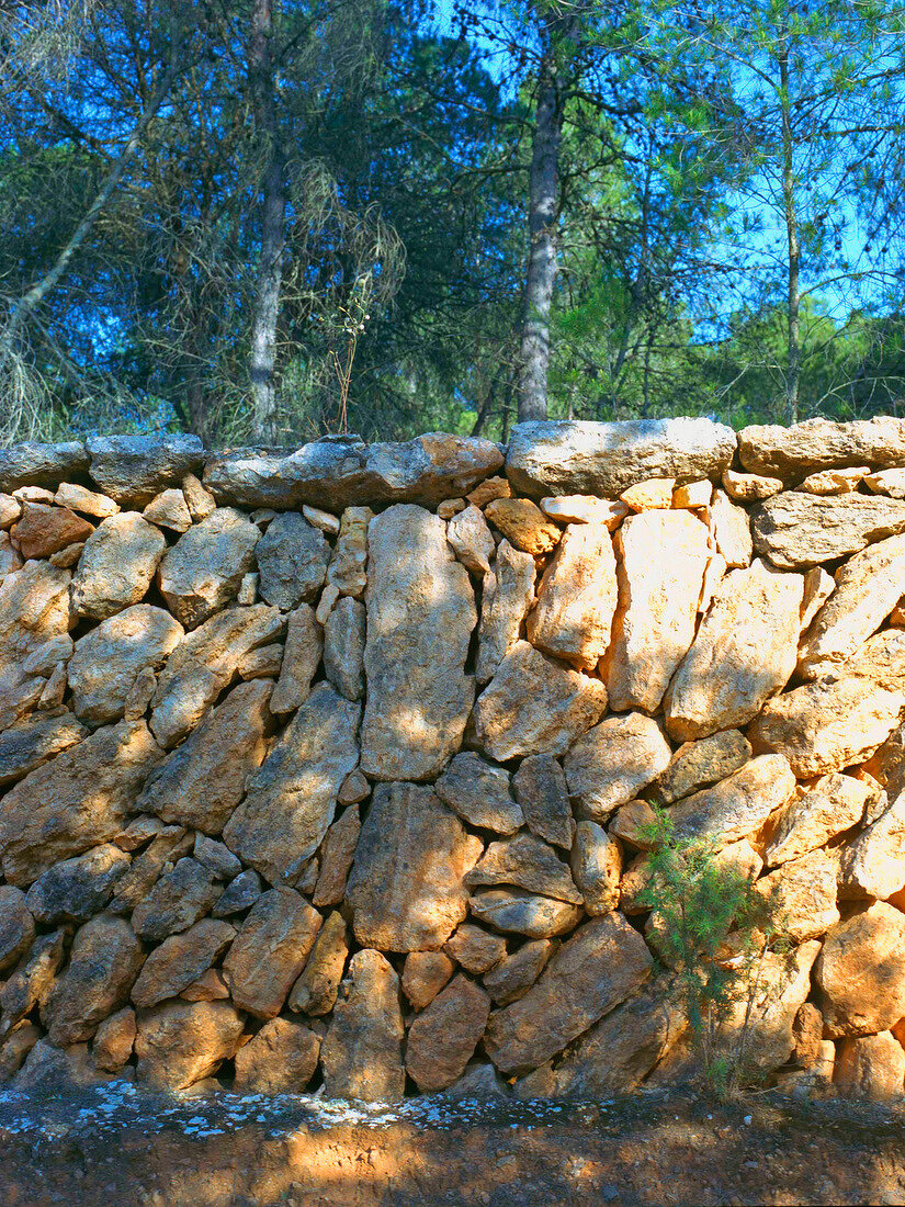 Field wall on Ibiza island, Spain