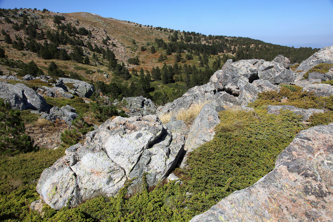 Türkei, Türkische Ägäis, Edremit, Kazdagi Milli Parki, Nationalpark