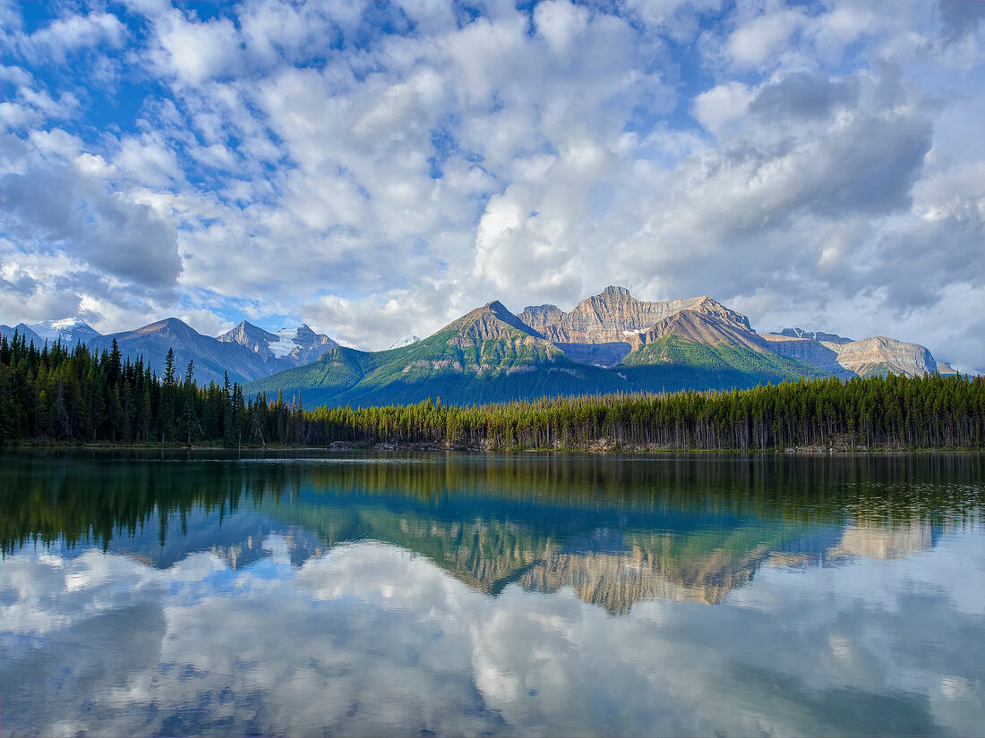 Kanada, Alberta, Banff National Park Hector Lake, Berge, Wald, Ufer