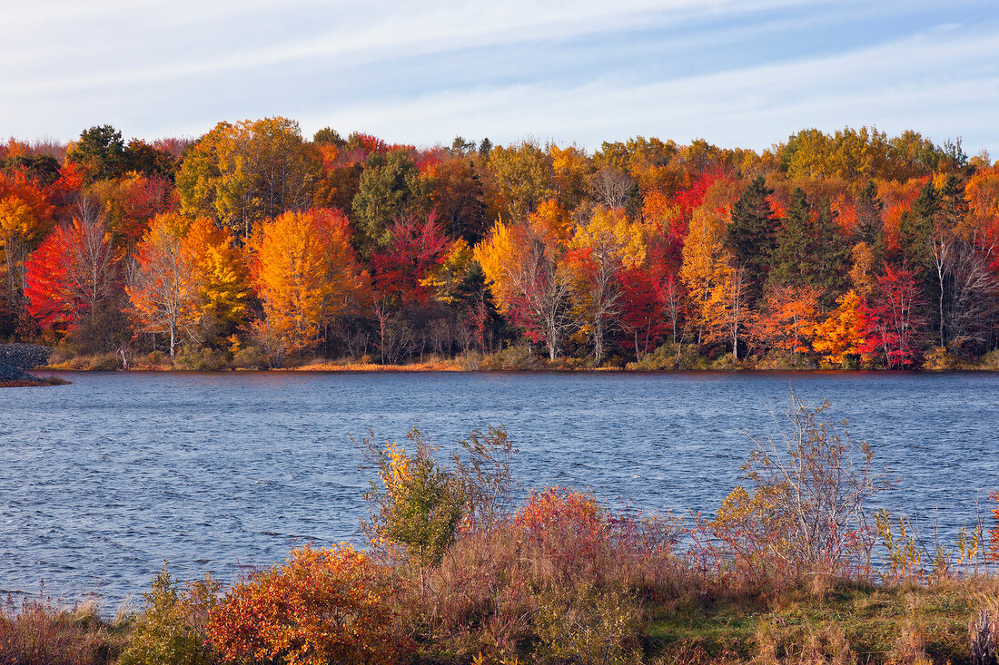View of colourful trees at bank of river, Nova Scotia, Canada